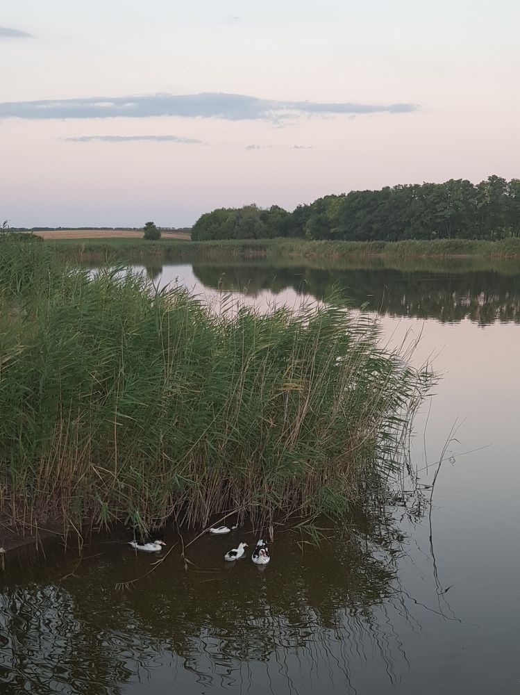 Photograph by Людмила Шатерникова