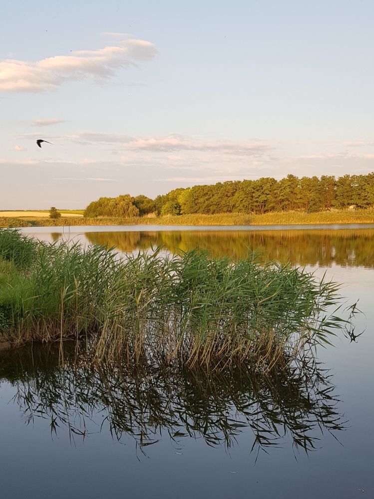 Photograph by Людмила Шатерникова