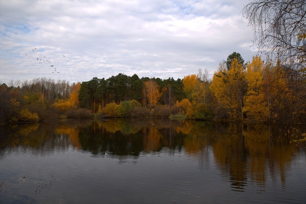 Фотография автора Сергей Чесноков