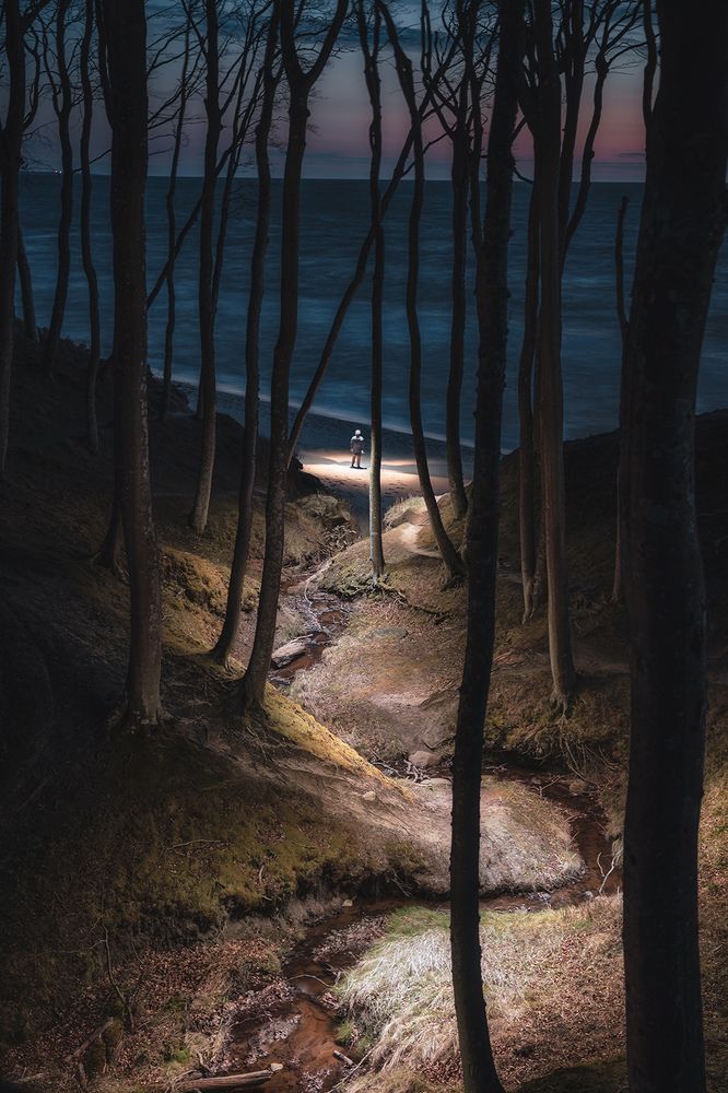 Photograph by Przemyslaw Szewczyk