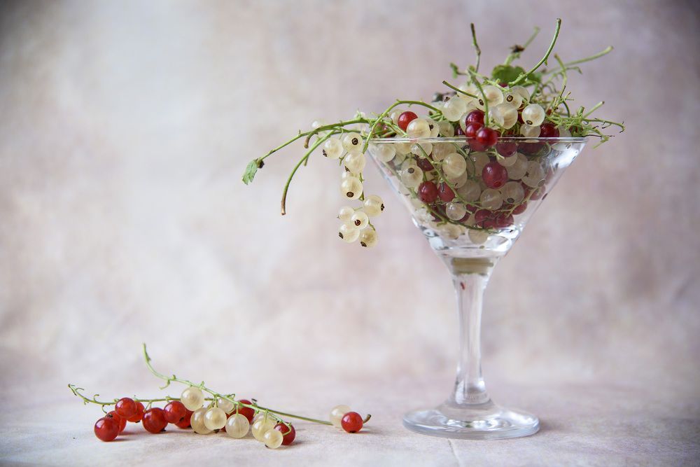 Photograph by Svetlana Khromova