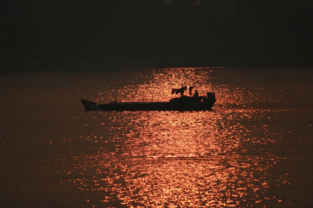 Photograph by Masum Mr