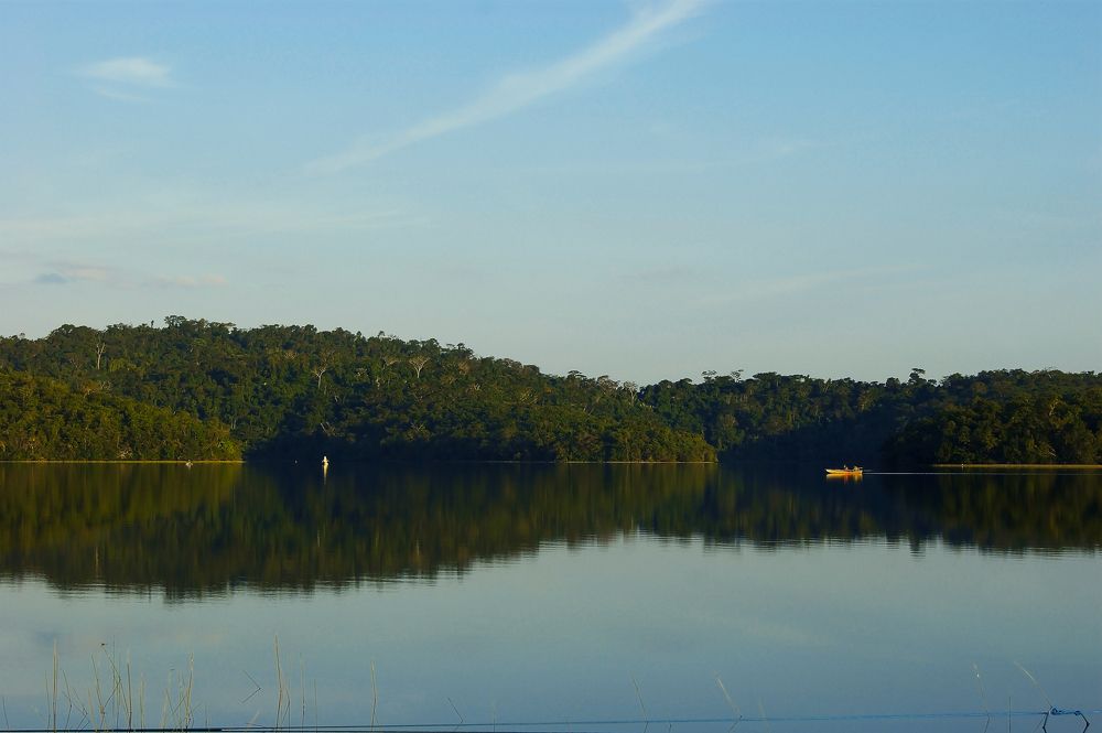 Photograph by Tatiana Barthem