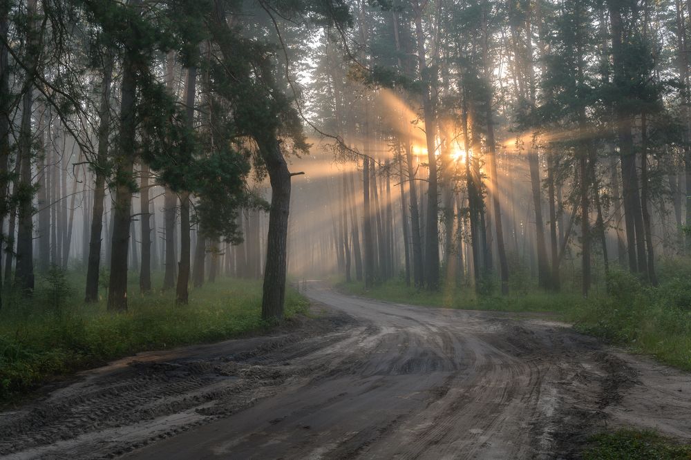 Photograph by Юлия Лаптева