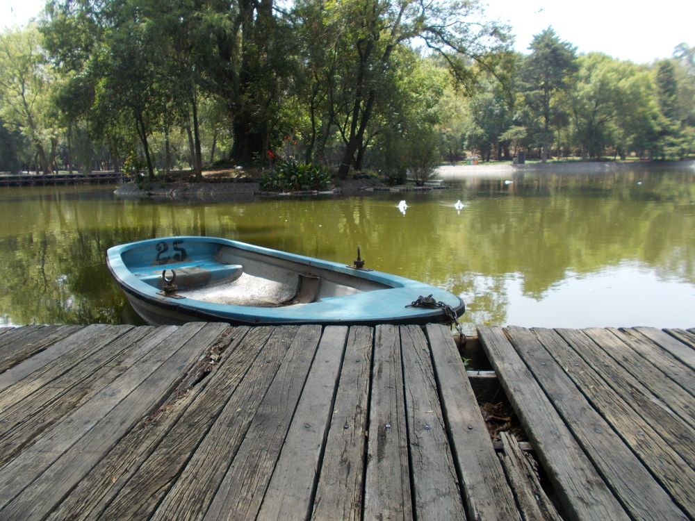 Photograph by José Luis Mendoza Machado