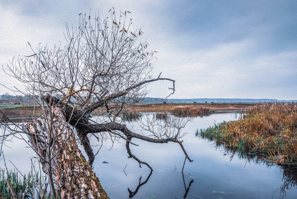Фотография автора Александр Буренко