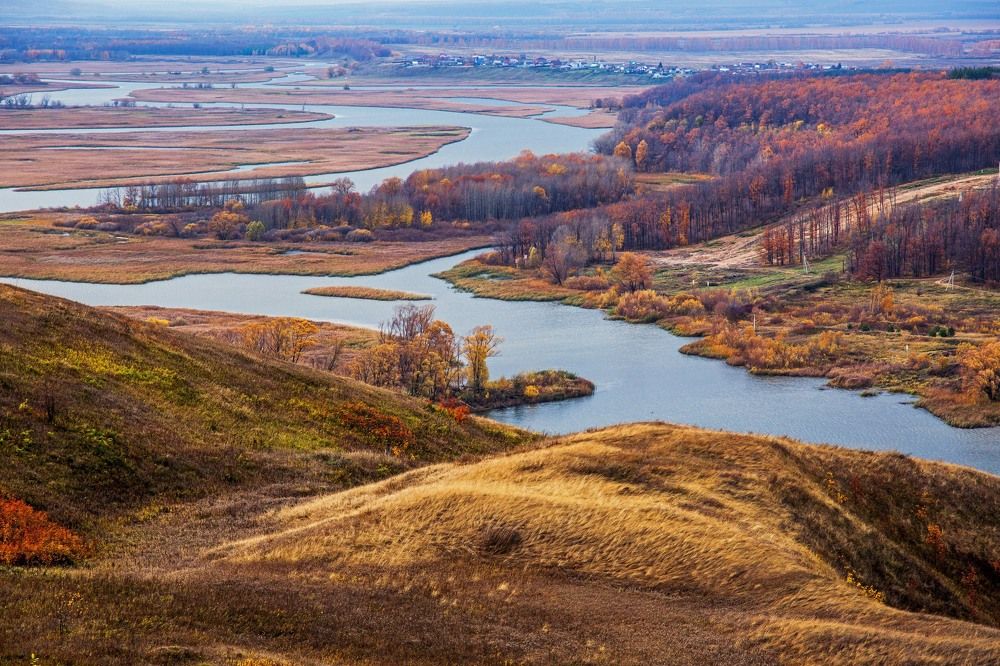 Photograph by Елена