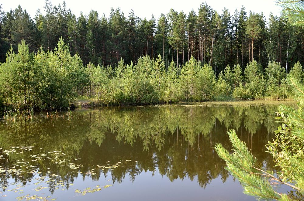 Речная сказка.