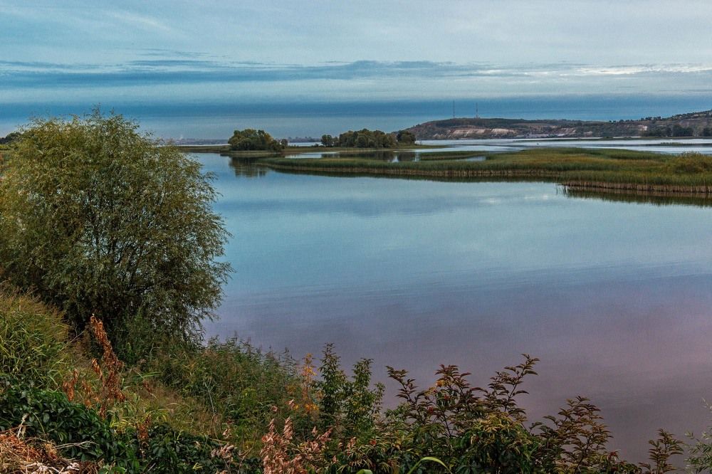 Photograph by Елена