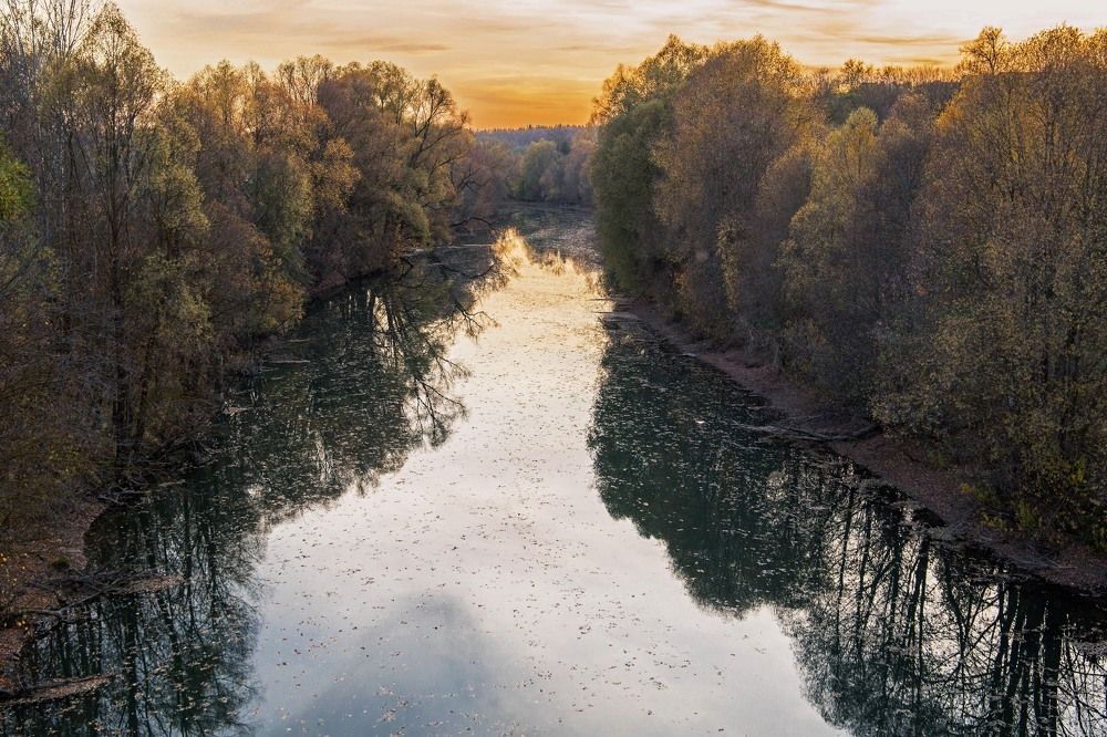 Photograph by Елена