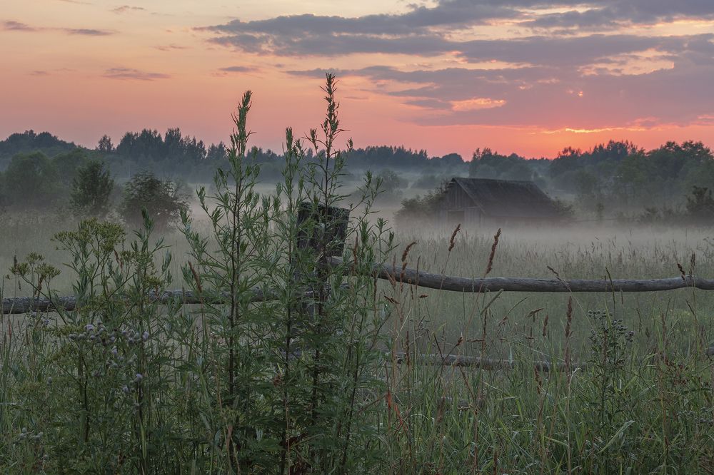 Photograph by Елена Гусева