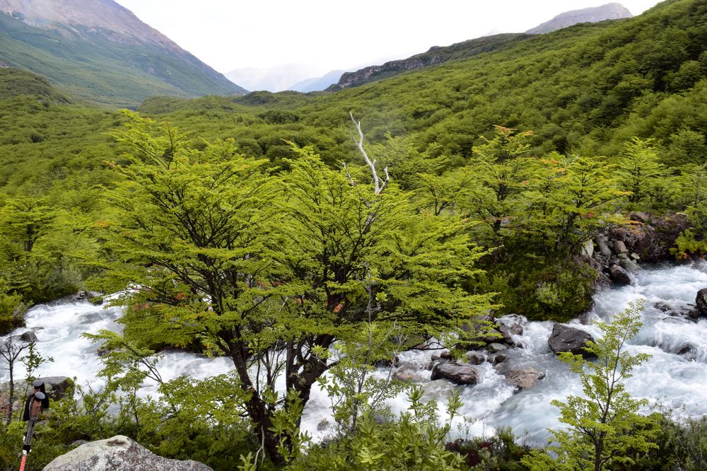 Photograph by Jean Cursino