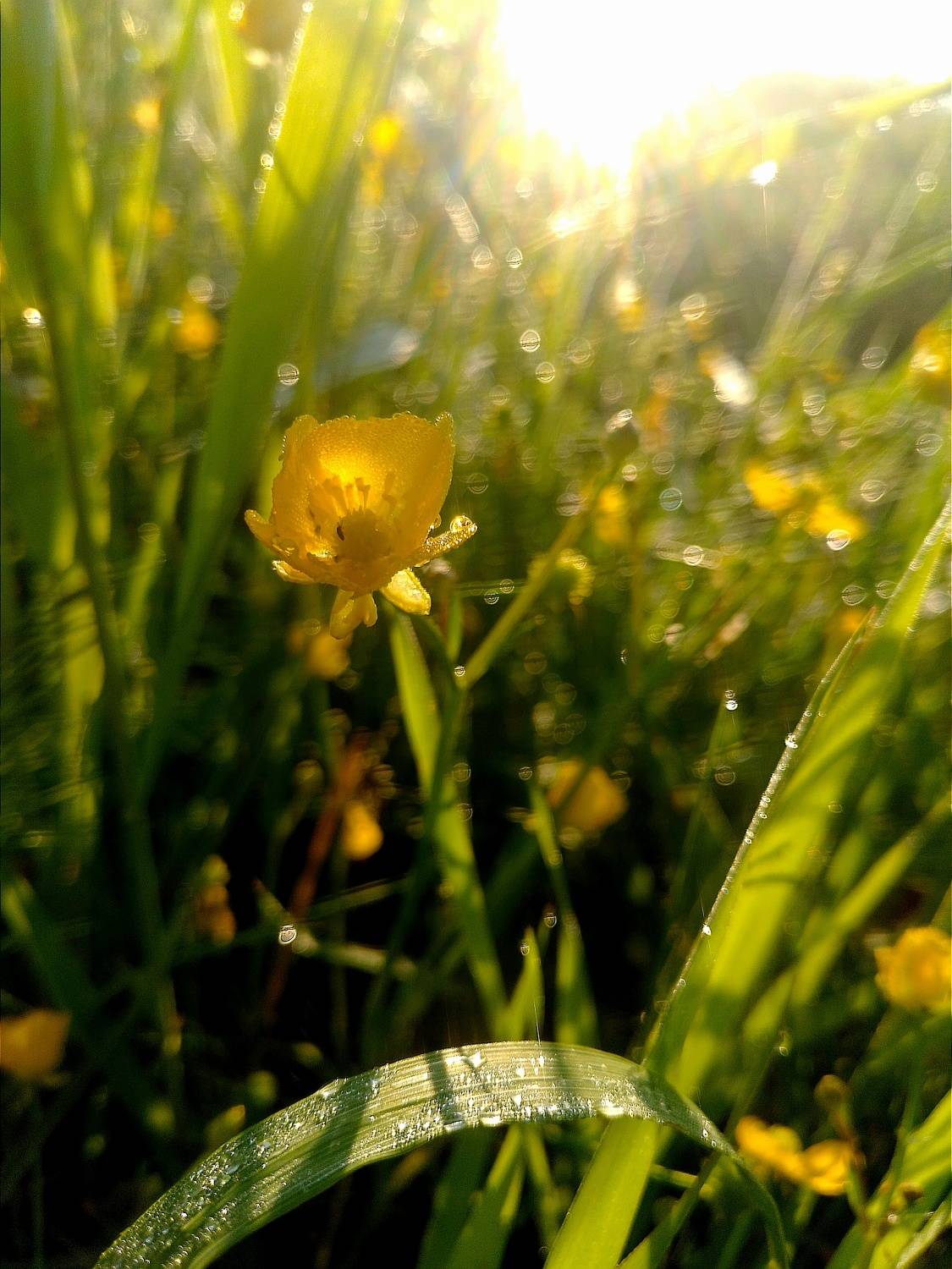 Photo #6309567