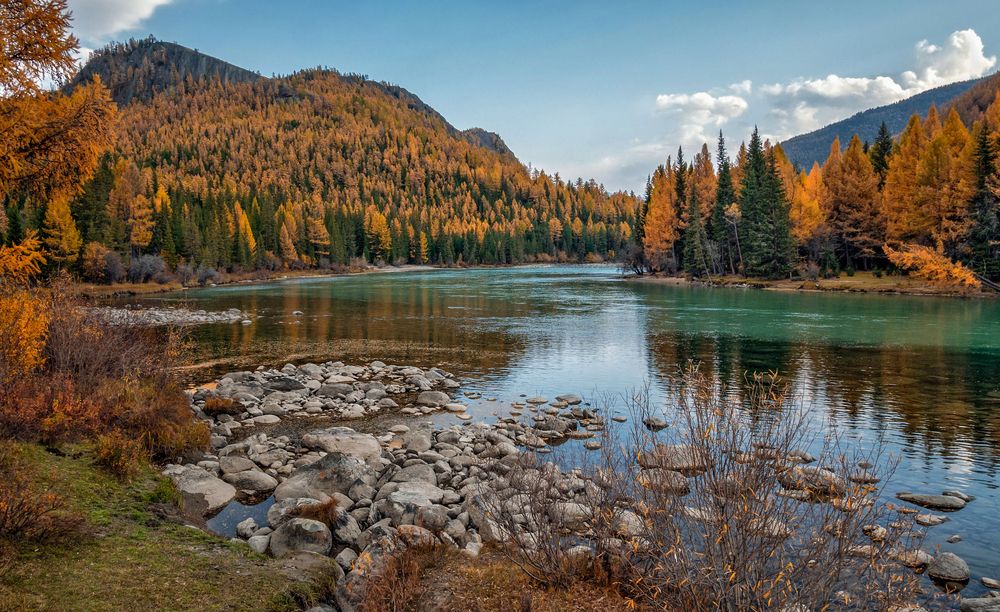 Слияние рек Бара и Аргут...Горный Алтай