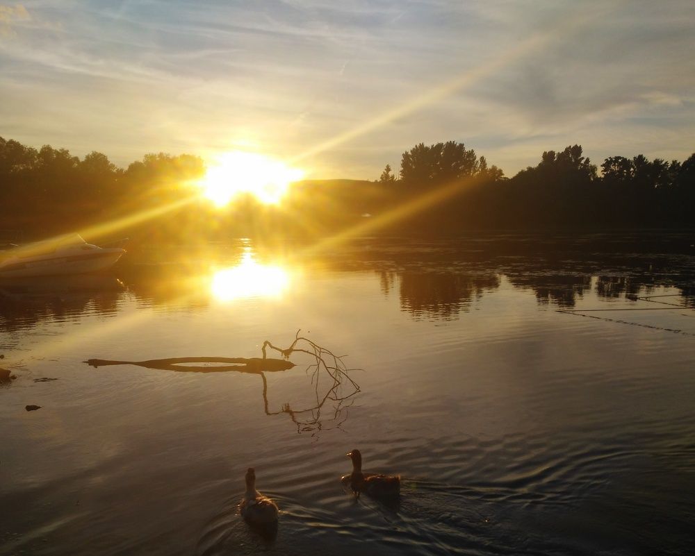 Photo #6309654