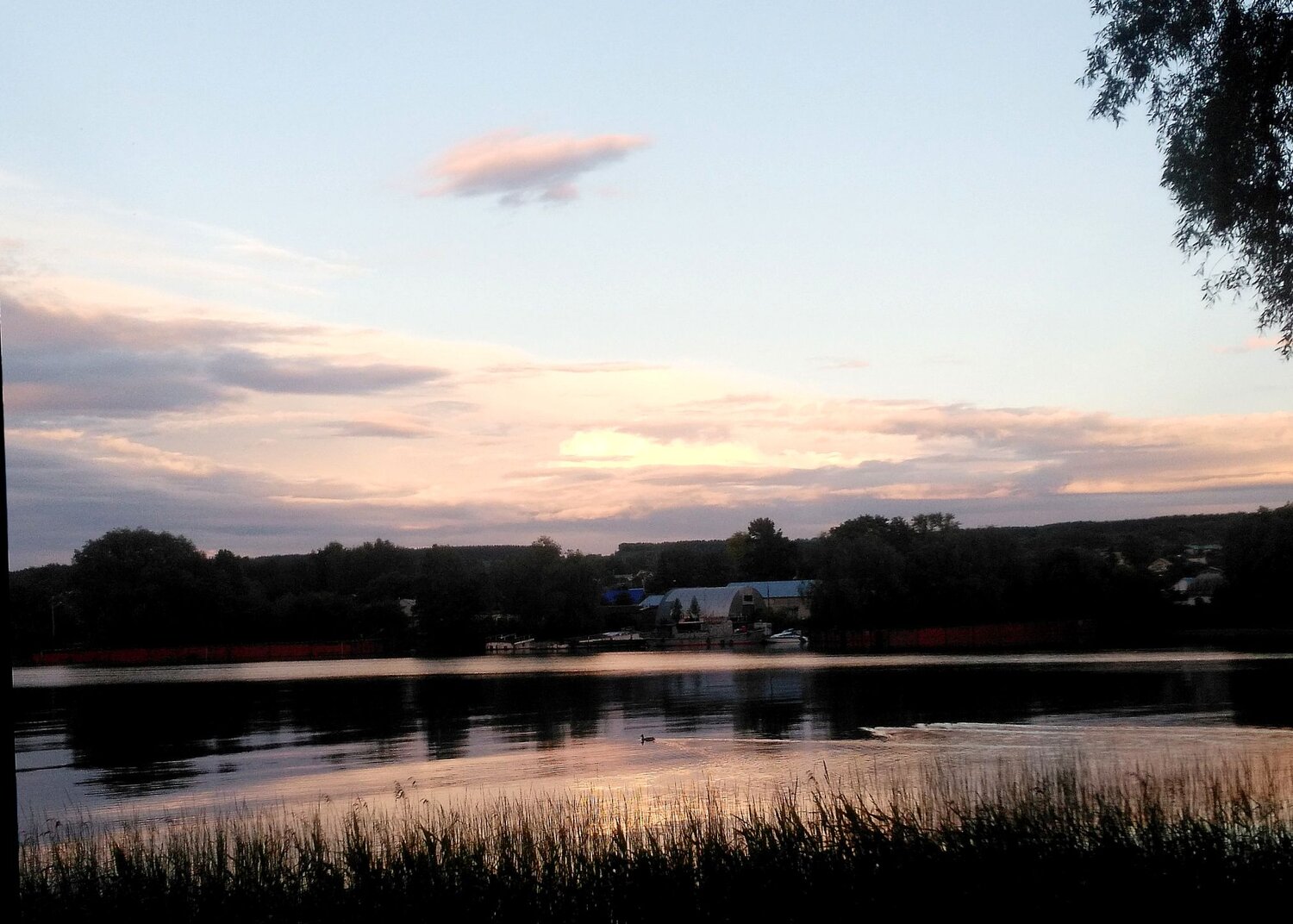 Photo #6309655