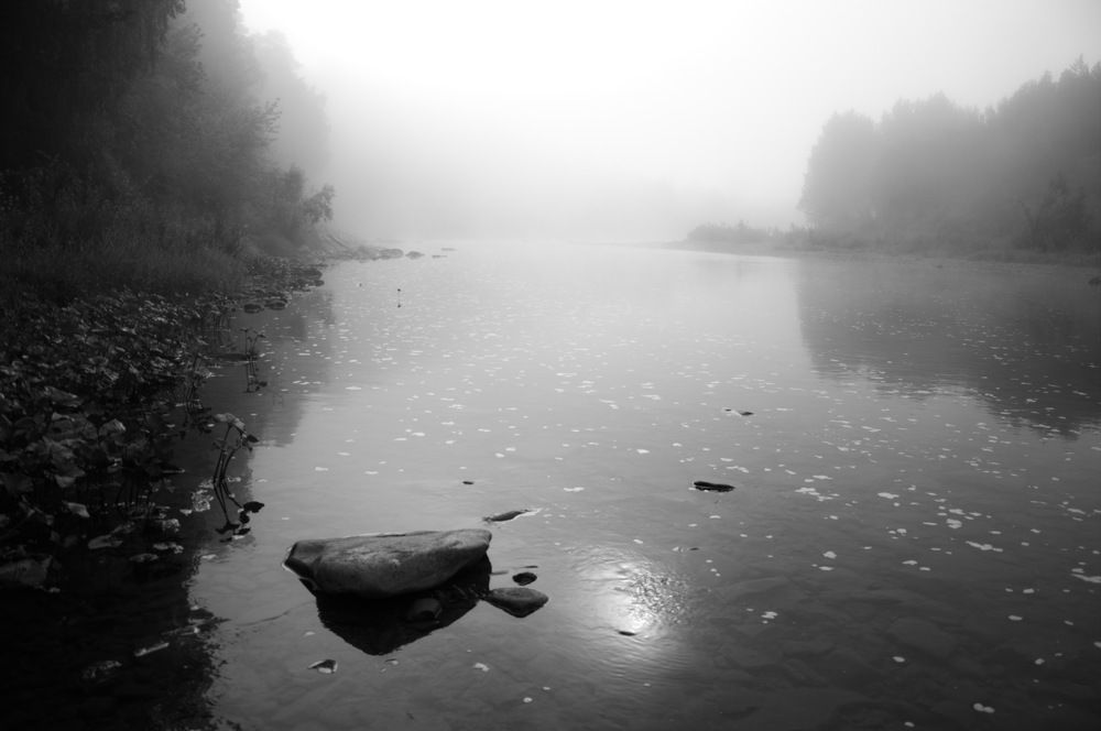 Туман на реке