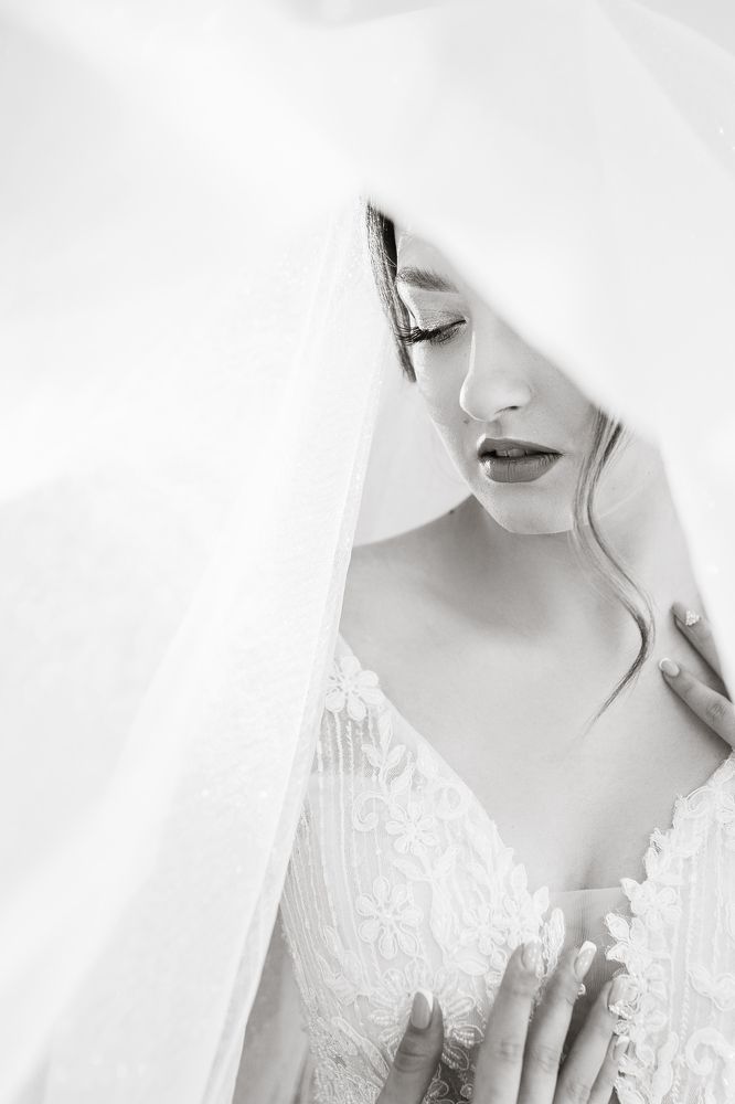 Фотография автора Артемий Федосеев