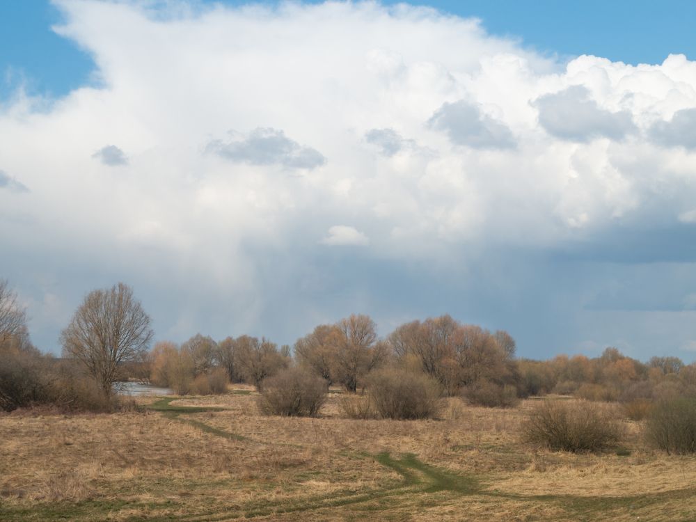 Photograph by Андрей