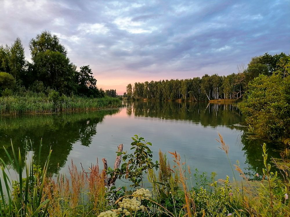 Фотография автора Елена Савельева