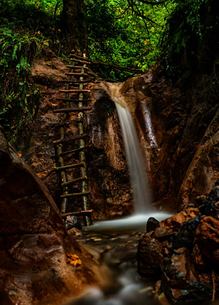 Фотография автора Milad Falahi