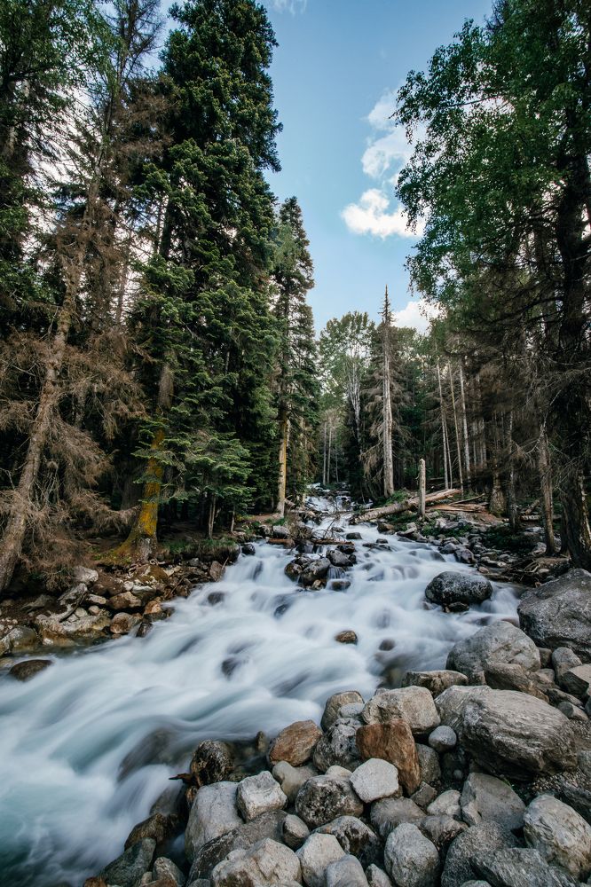 Photograph by Анастасия Сауль