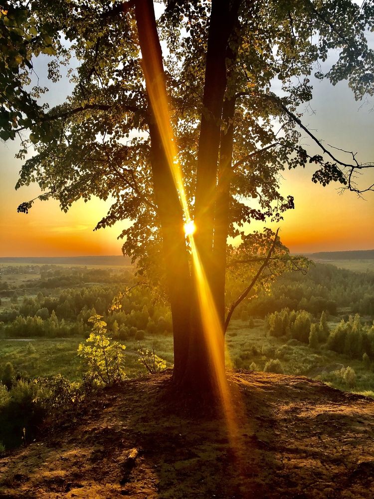 Photograph by Евгения Ципрук