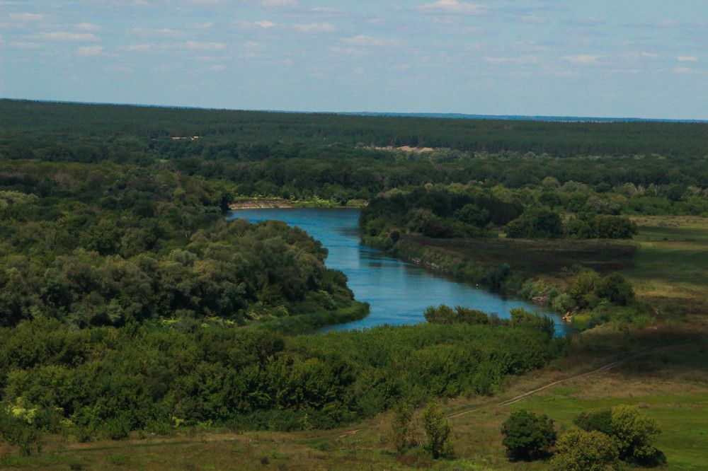 Река Тихая сосна