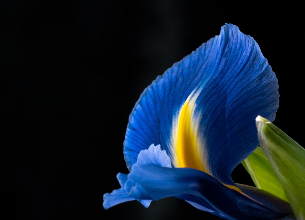 Photograph by Михаил Магид