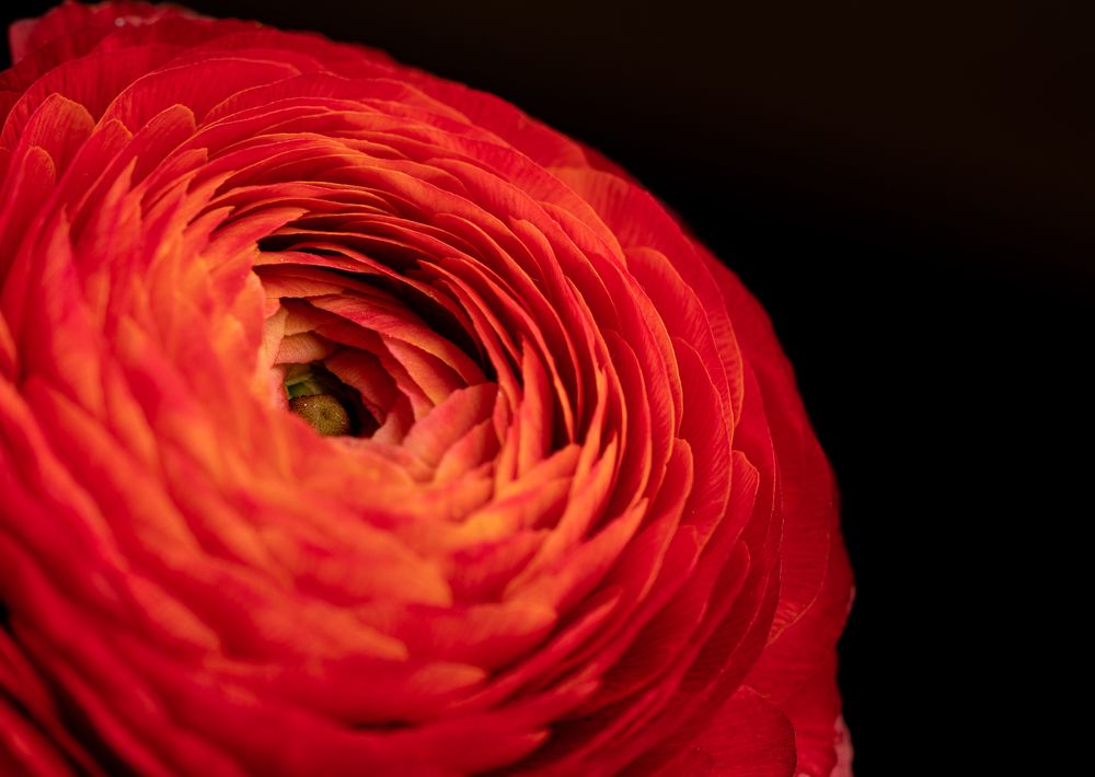 Photograph by Михаил Магид