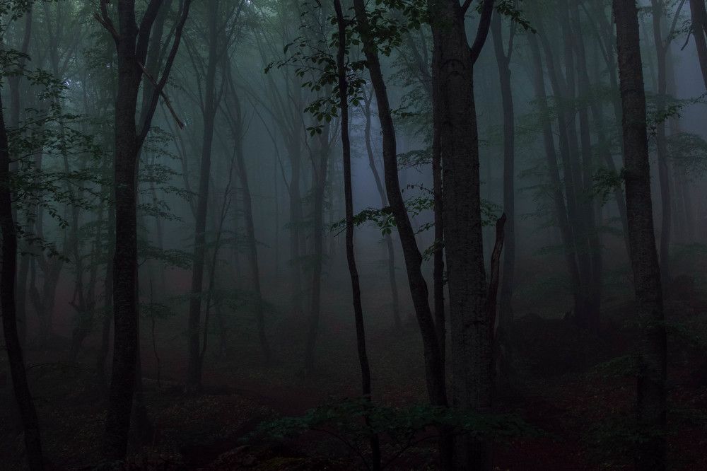 Photograph by Ольга