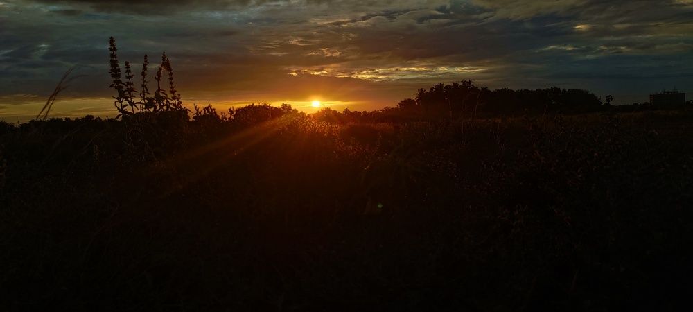 Photo #6310256