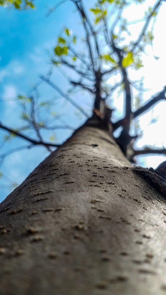 Фотография автора Faqirzada Sameer