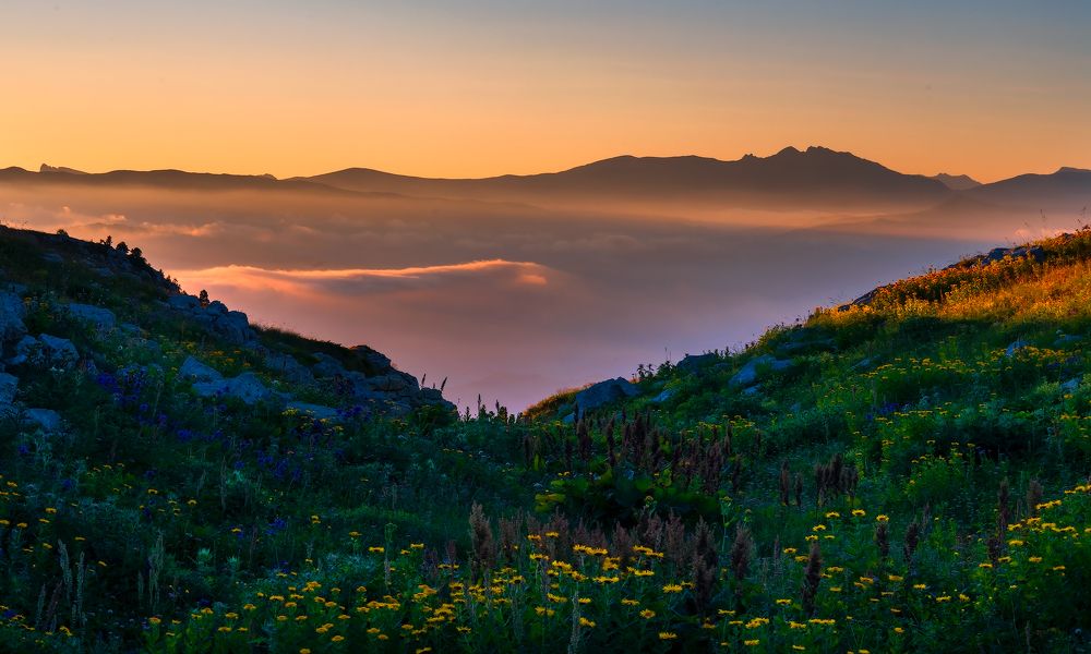 Photograph by Олег Скан