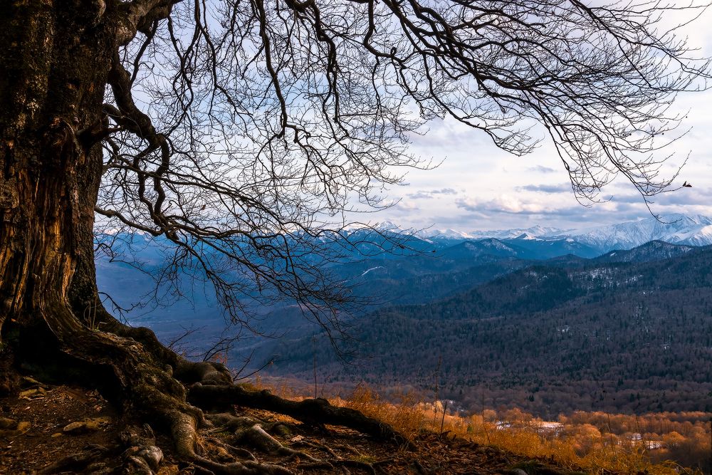 Photograph by Олег Скан