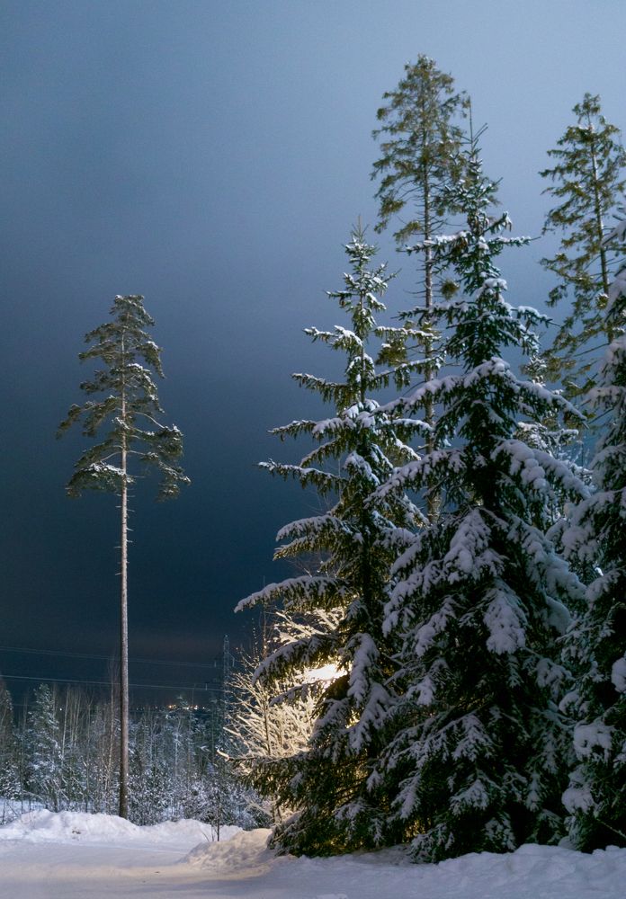 Photo #6310551