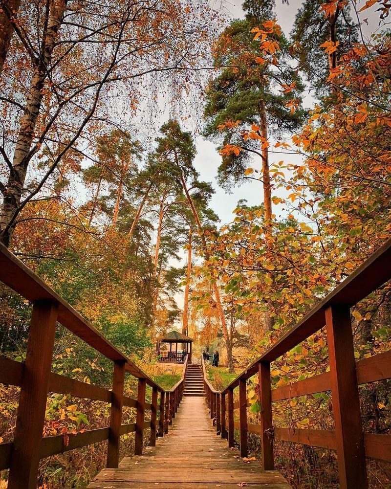 Photograph by Светлана