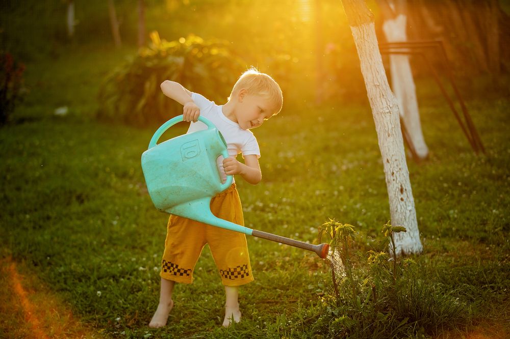 Photograph by Эля Цишба