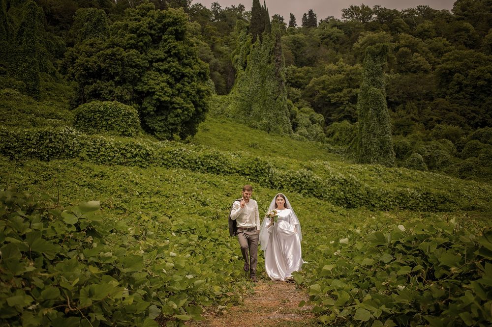 Photograph by Эля Цишба