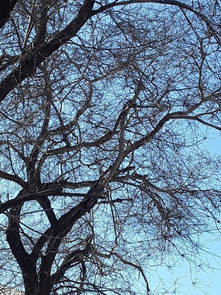 Photograph by Татьяна Собенникова