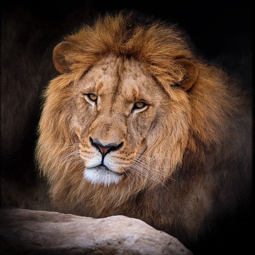 Photograph by Janet Williams