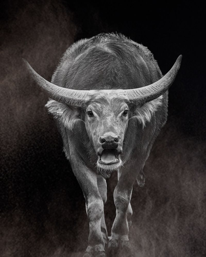 Photograph by Janet Williams