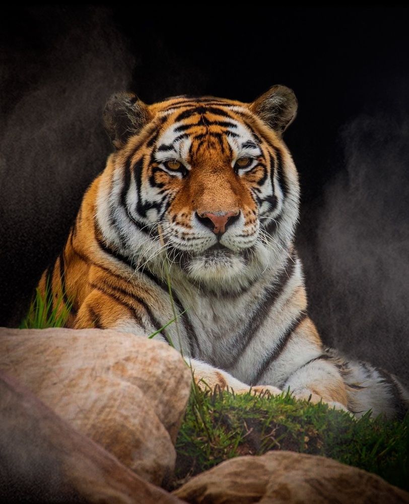 Photograph by Janet Williams