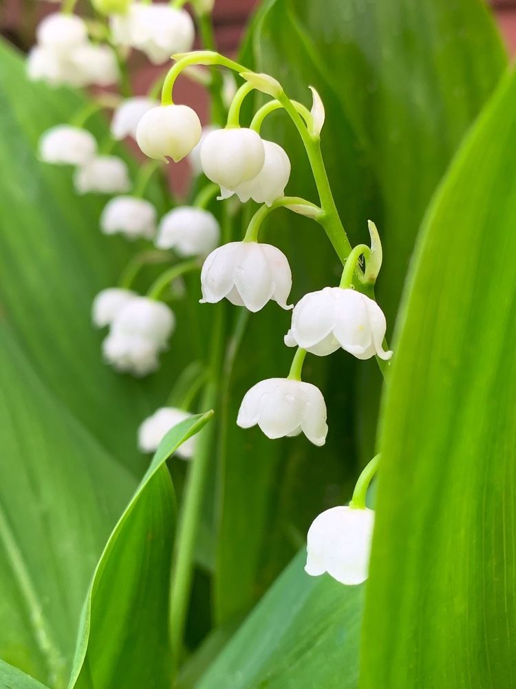 Photograph by Светлана