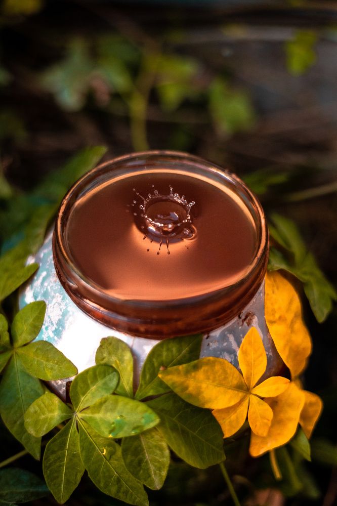 Photograph by Daniel ansari