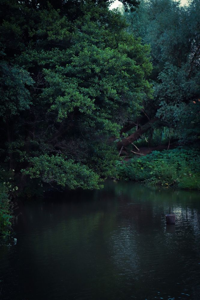 Photograph by Алла Осипова