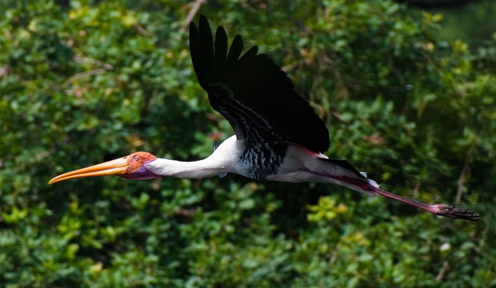 Photograph by Akshay P Pillai