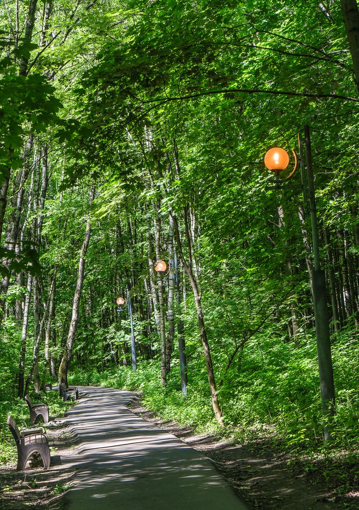 Photograph by Владимир Езеров