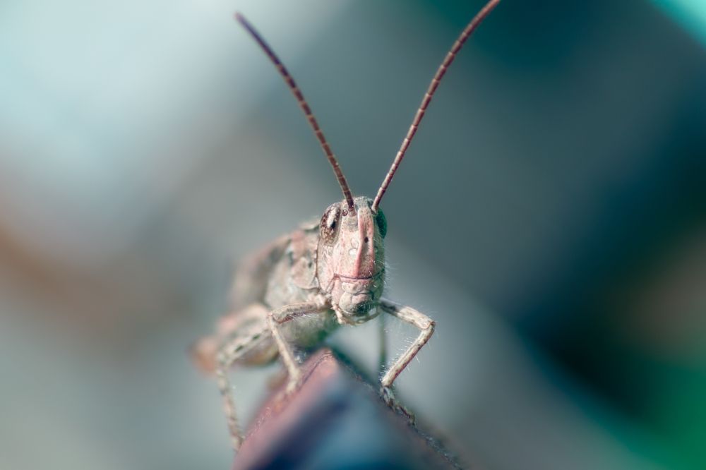 Photograph by Максим Лукманов