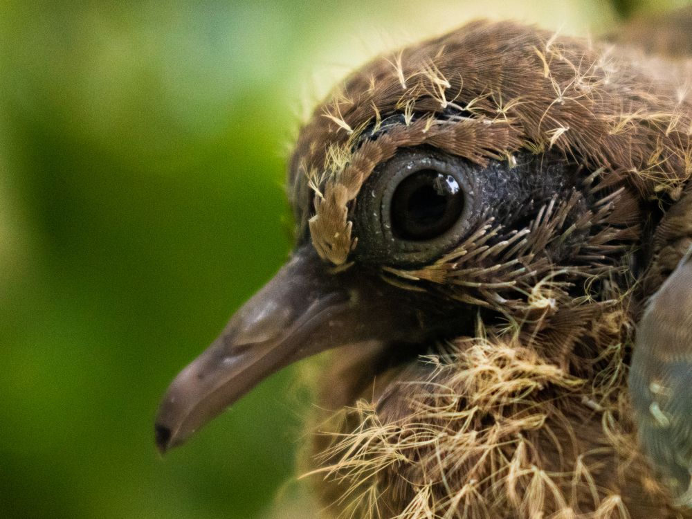 Photograph by Akshay P Pillai